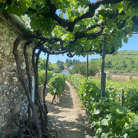 Casa Da Costeira בית נופש Santa Marta de Penaguião