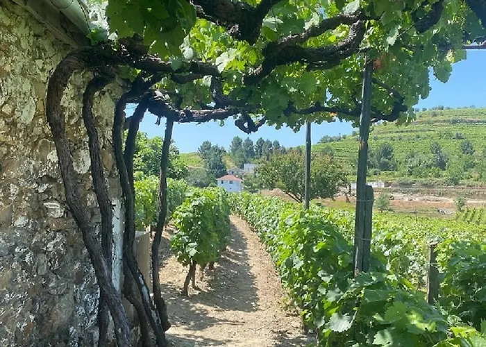 Casa Da Costeira Feriehus Santa Marta de Penaguião