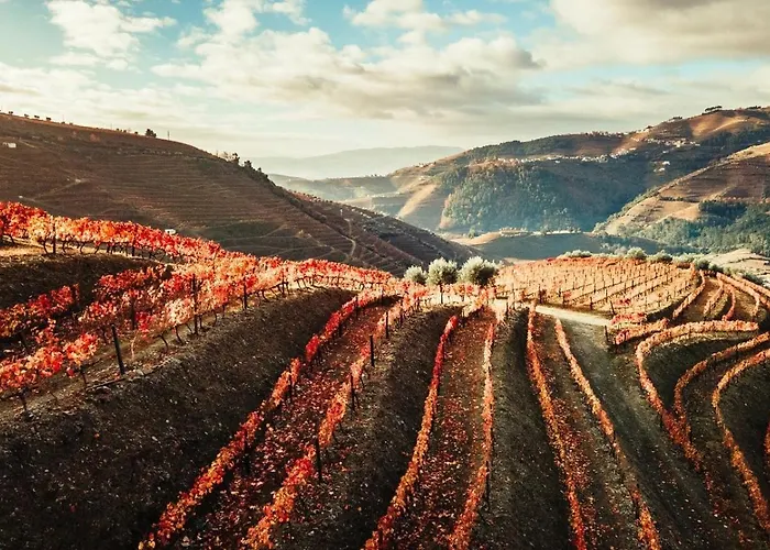 Casa Da Costeira Feriehus Santa Marta de Penaguião